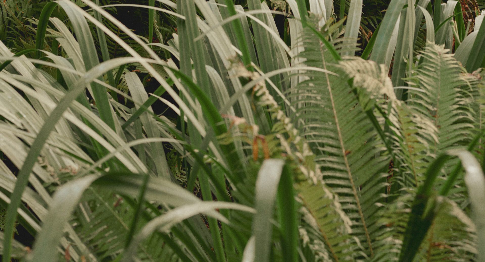 Extra 10% Off Winter Sale